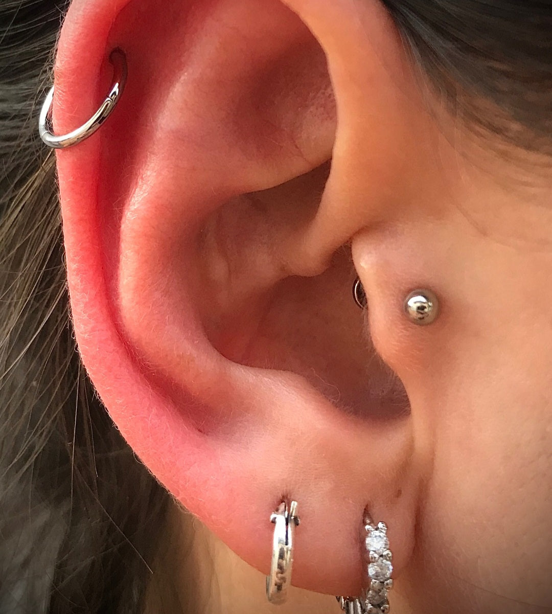 Labret Básico