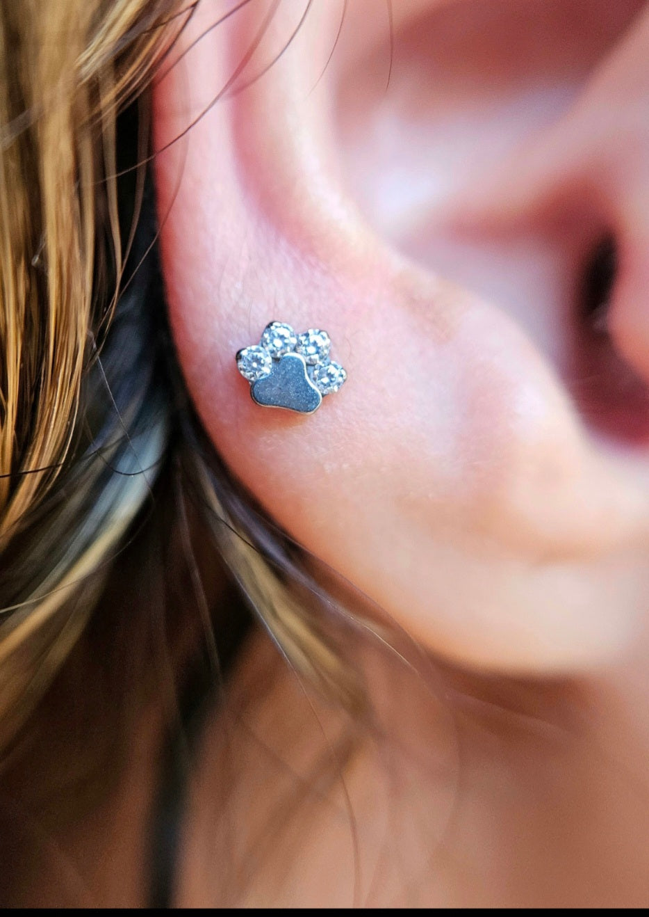Patinha Zirconias (modelo 1)