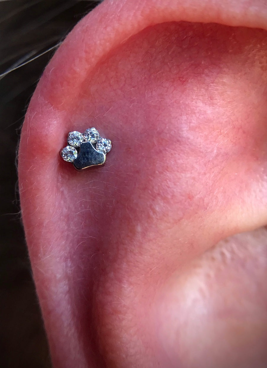 Patinha Zirconias (modelo 1)