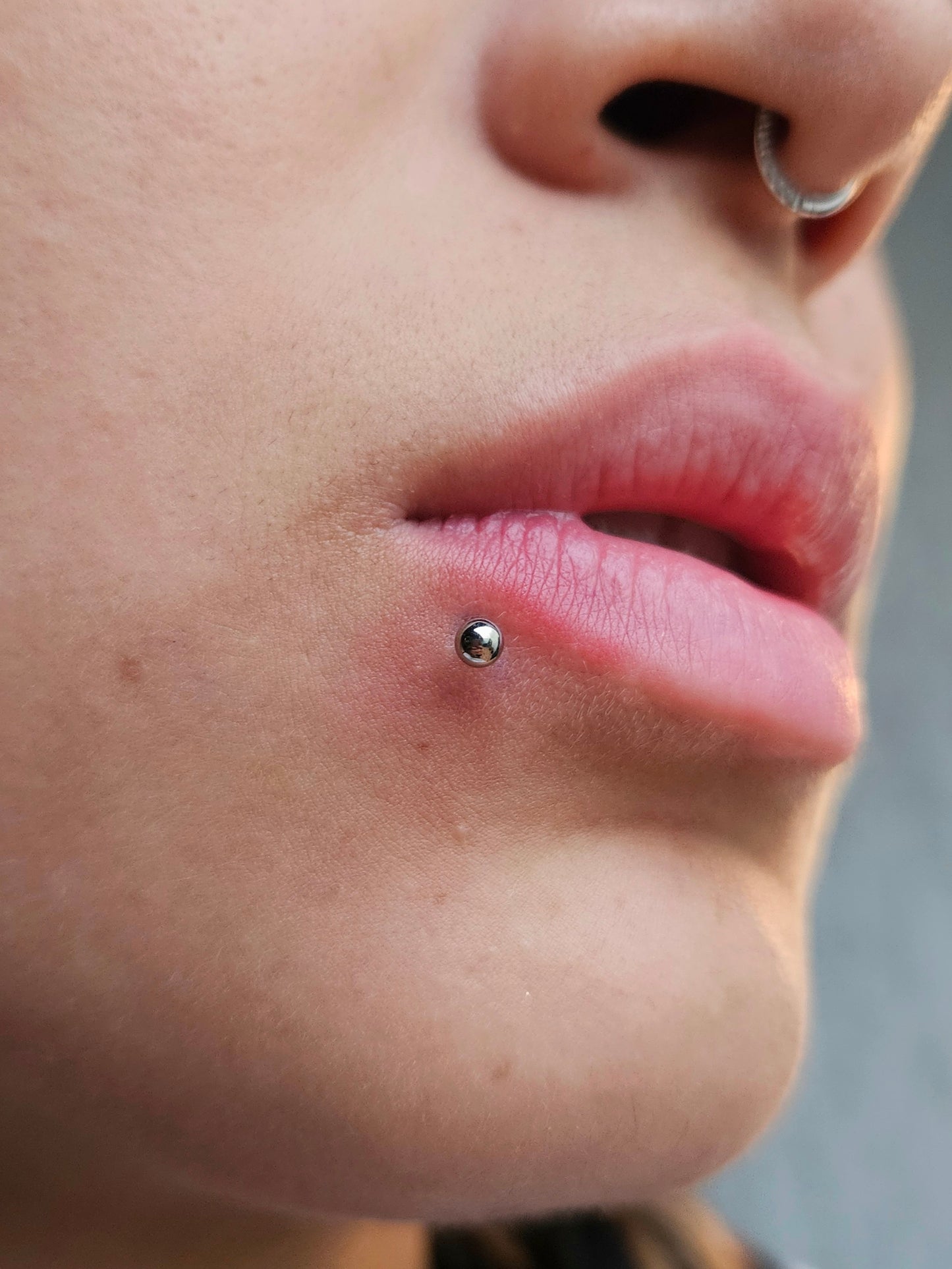 Labret Básico