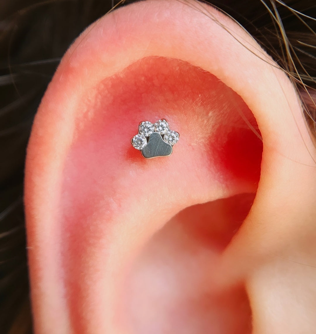 Patinha Zirconias (modelo 1)