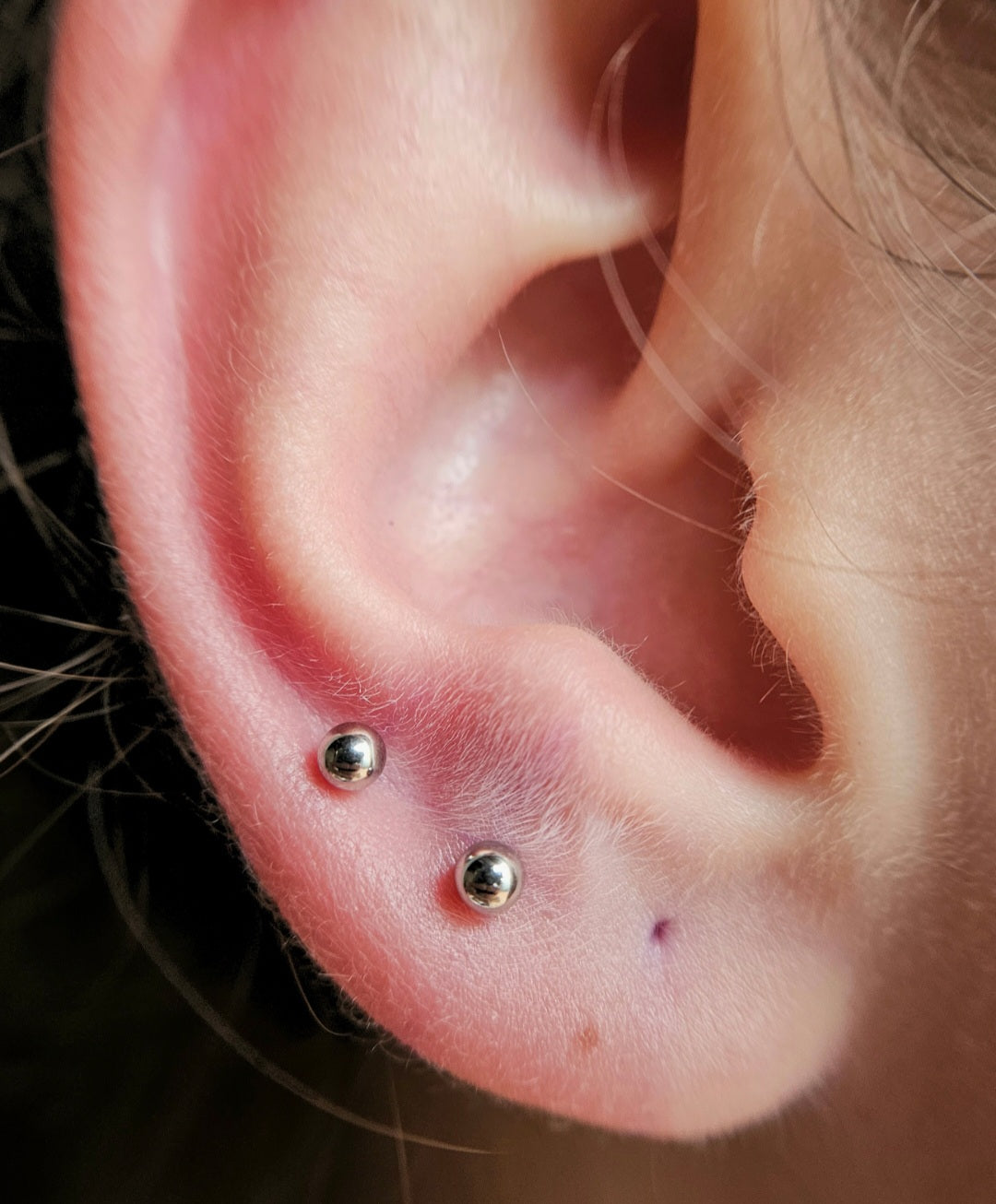 Labret Básico
