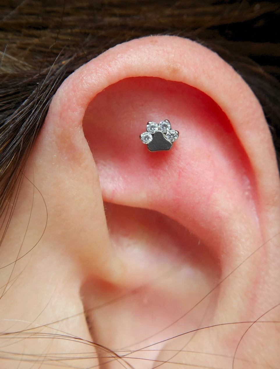 Patinha Zirconias (modelo 1)