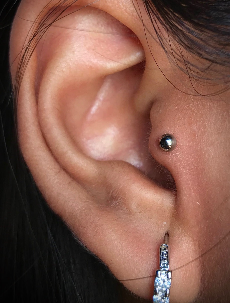Labret Básico